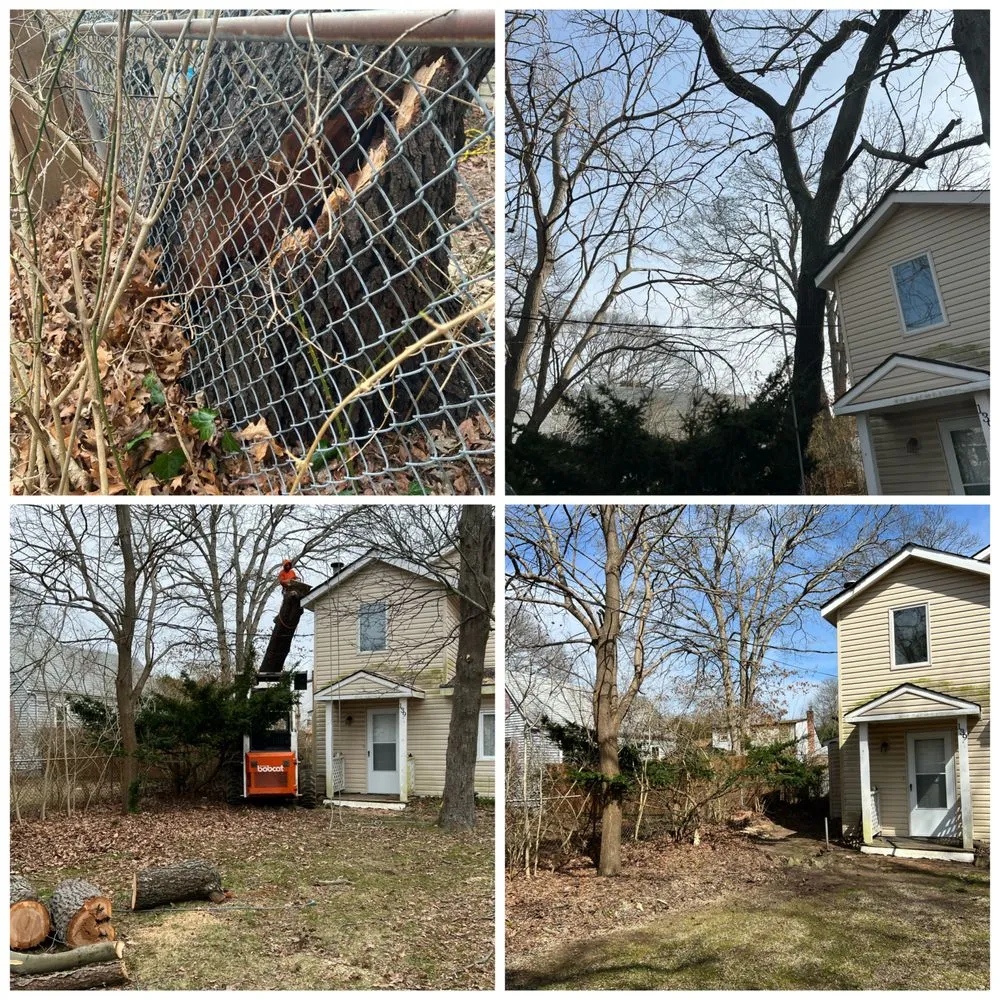 Trusted lawn care service experts serving Centereach, NY - The Big Forest Tree Service