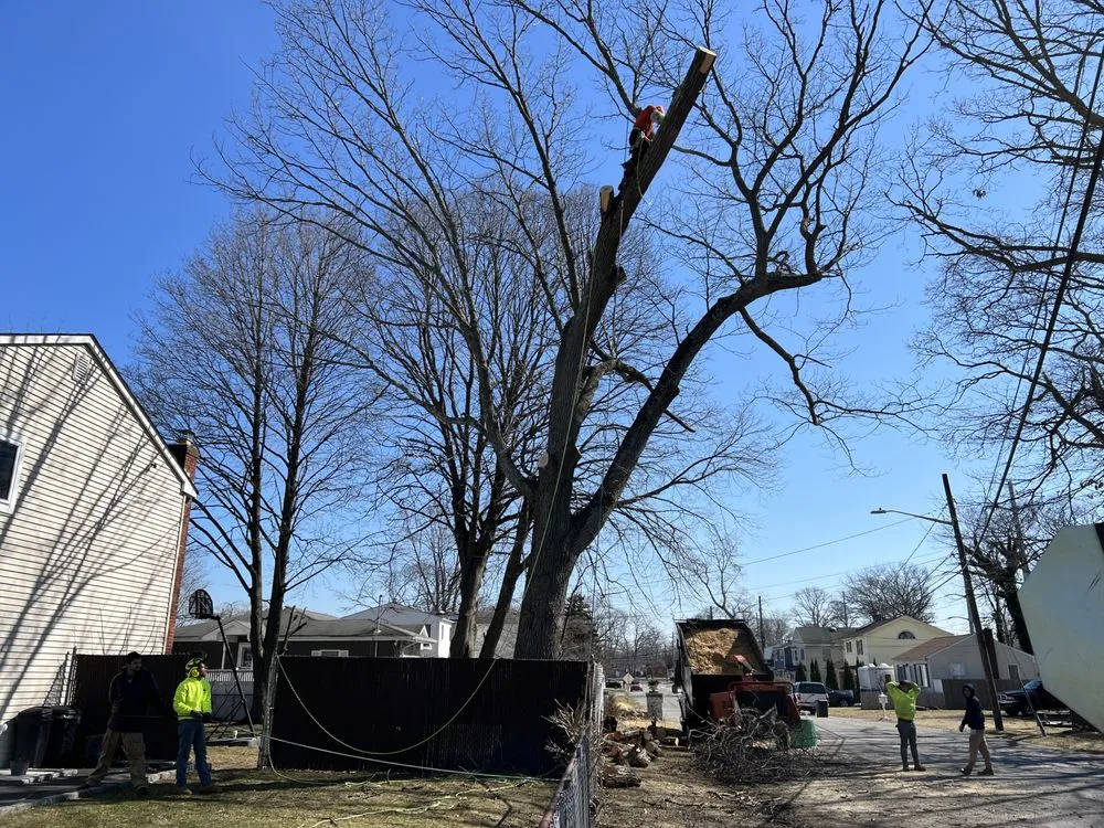 Reliable outdoor landscaping in Centereach, NY - The Big Forest Tree Service