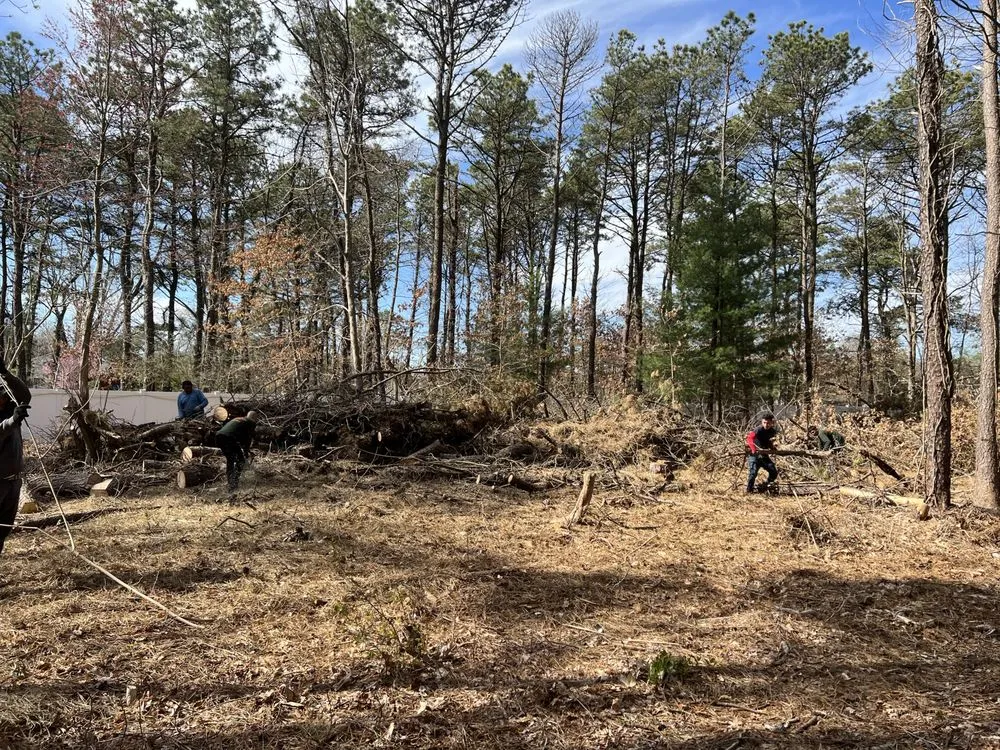 Affordable landscape design for outdoor upgrades across Centereach, NY - The Big Forest Tree Service