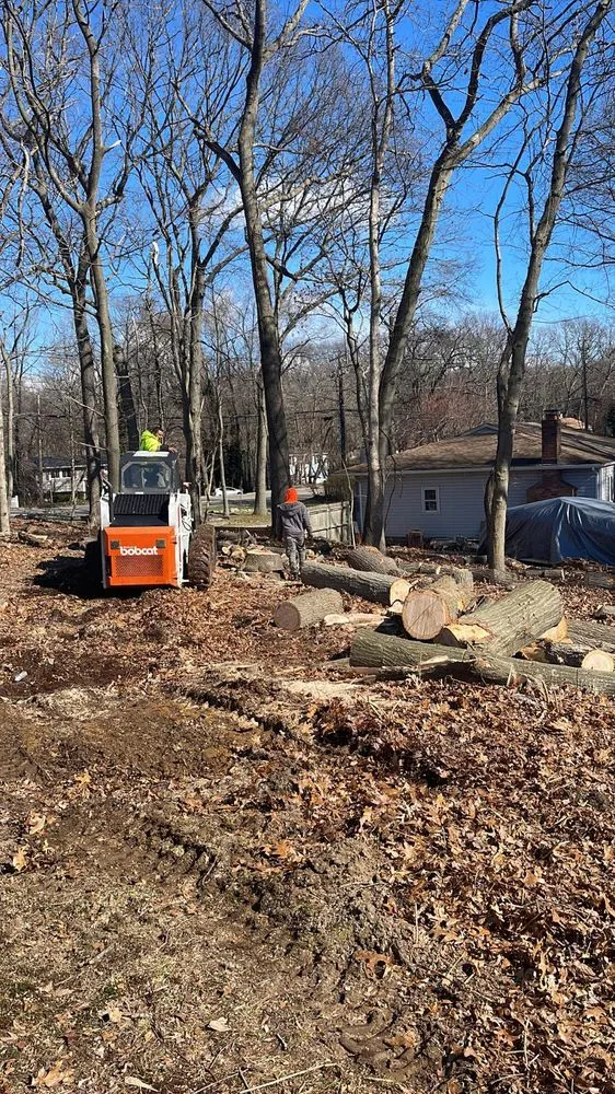 Trusted landscape design for year-round maintenance in Centereach, NY by The Big Forest Tree Service