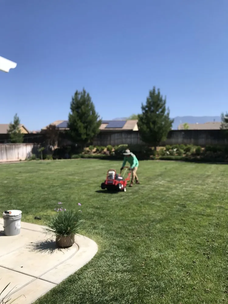 Custom landscaping services in Devore Heights, CA - The Big Green Elf Landscape