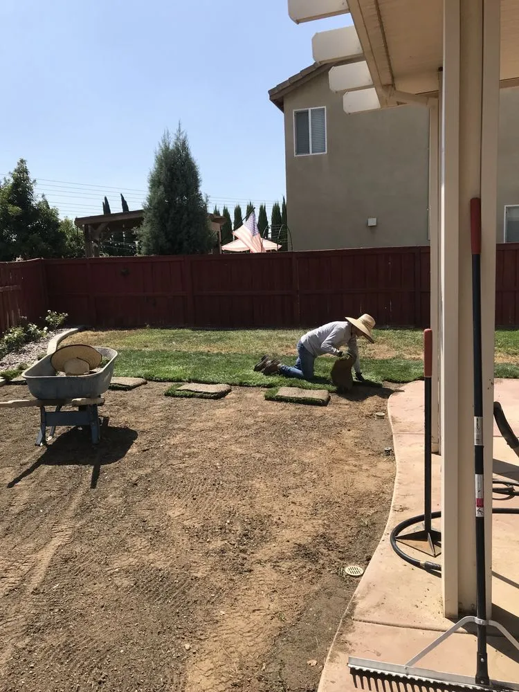 Reliable landscape design in Devore Heights, CA by The Big Green Elf Landscape