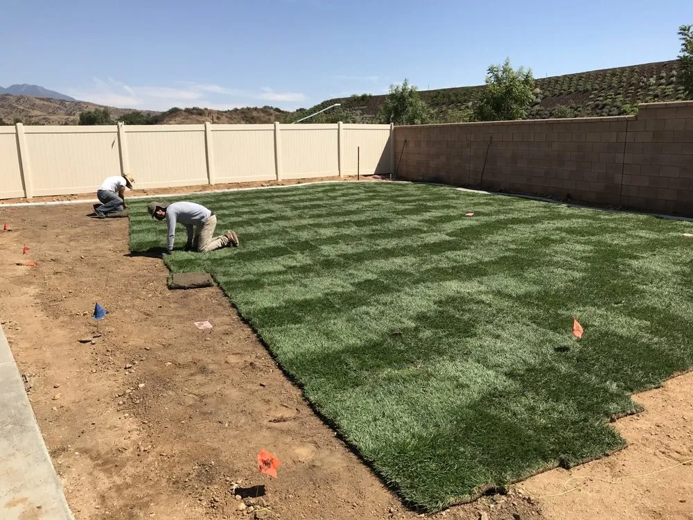 Reliable yard maintenance in Devore Heights, CA by The Big Green Elf Landscape