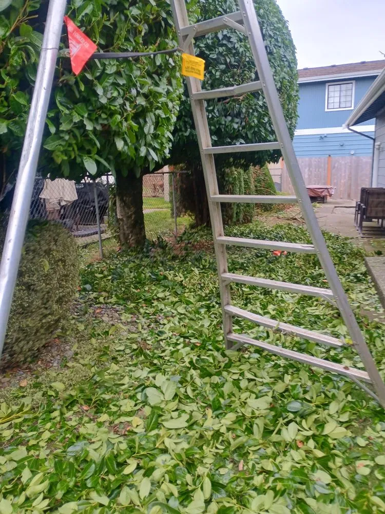 Reliable landscape design near you across North Bend, WA - The  Big Horns Landcaping