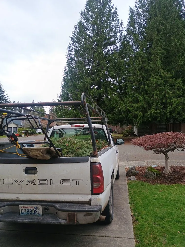 Reliable yard cleanup service experts serving North Bend, WA - The  Big Horns Landcaping