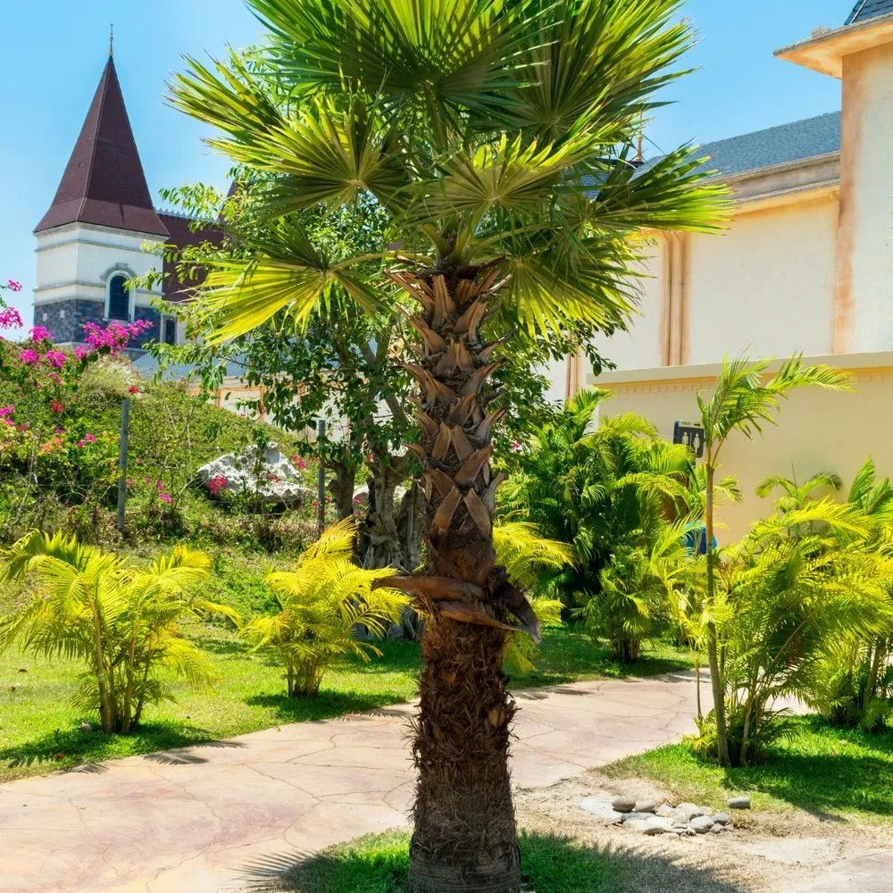 Trusted landscape installation in Miami, FL by The Billy Goat