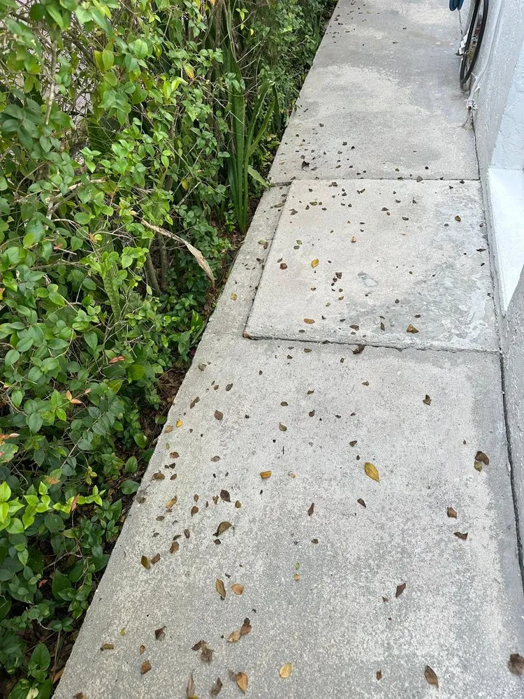 Expert yard maintenance in Miami, FL - The Billy Goat