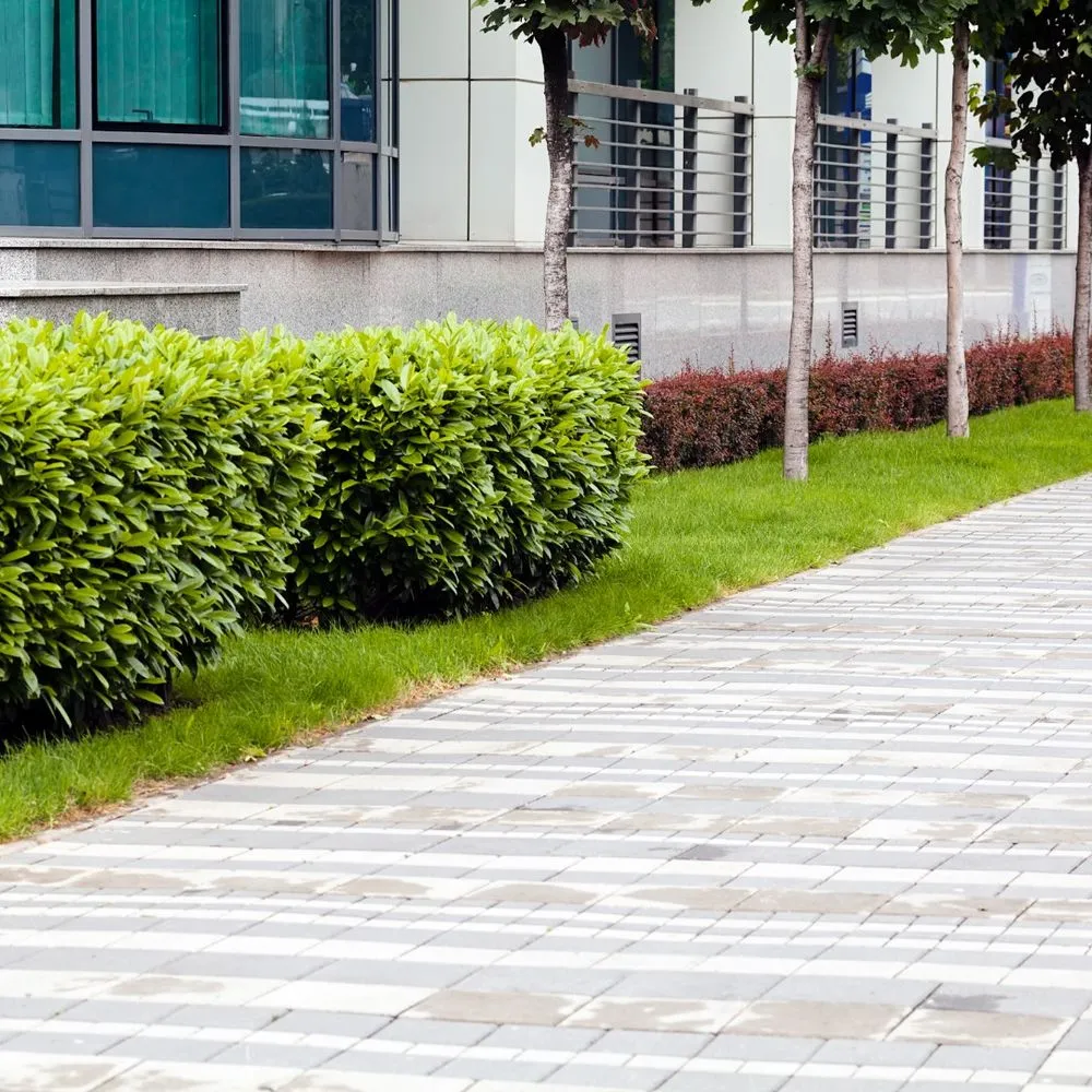 Professional yard cleanup service experts serving Miami, FL - The Billy Goat