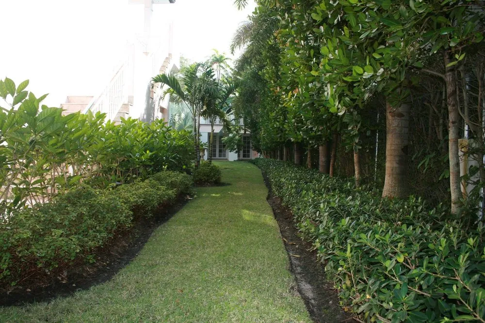 Affordable lawn mowing service in Miami, FL - The Billy Goat