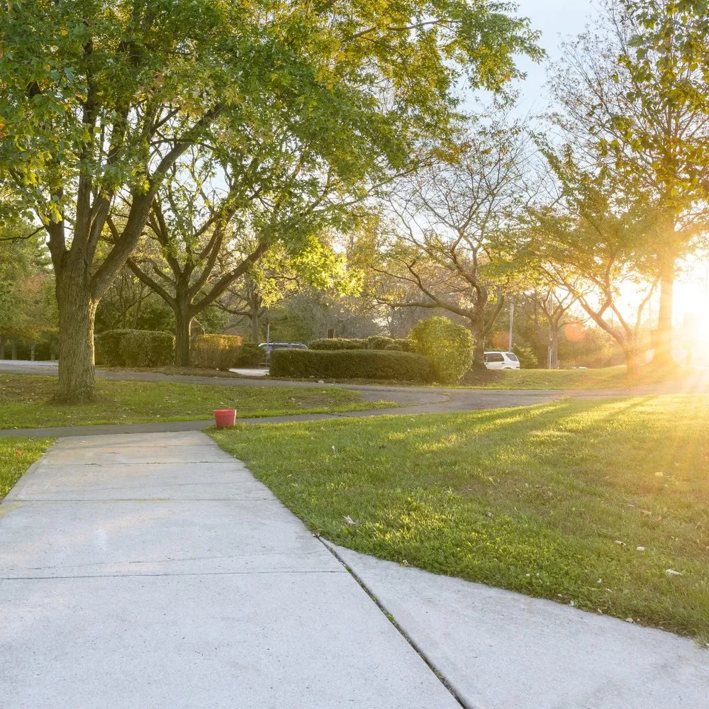 Trusted landscaping services in Miami, FL by The Billy Goat