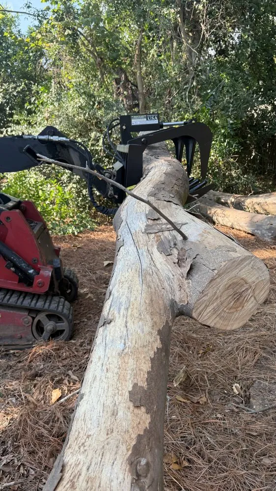 Trusted yard maintenance in Grovetown, GA - The Binzha Landscape