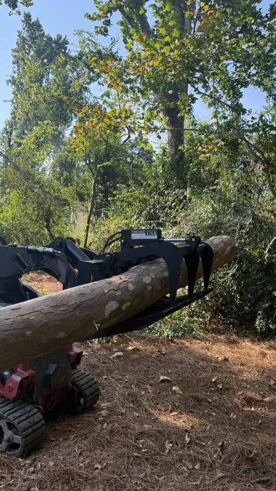 Custom yard cleanup service in Grovetown, GA by The Binzha Landscape