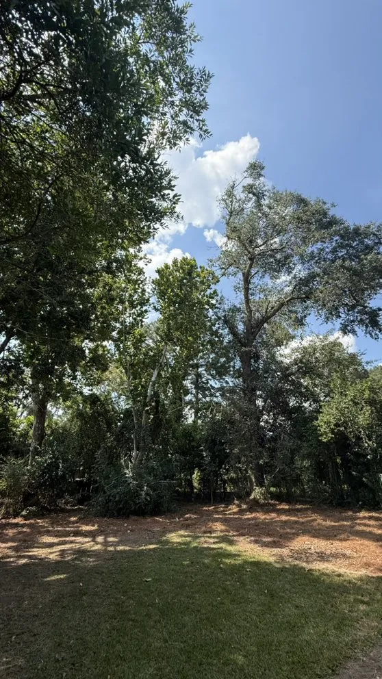 Trusted landscaping services in Grovetown, GA - The Binzha Landscape