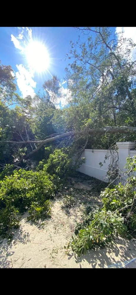 Trusted yard maintenance for homes in Grovetown, GA by The Binzha Landscape