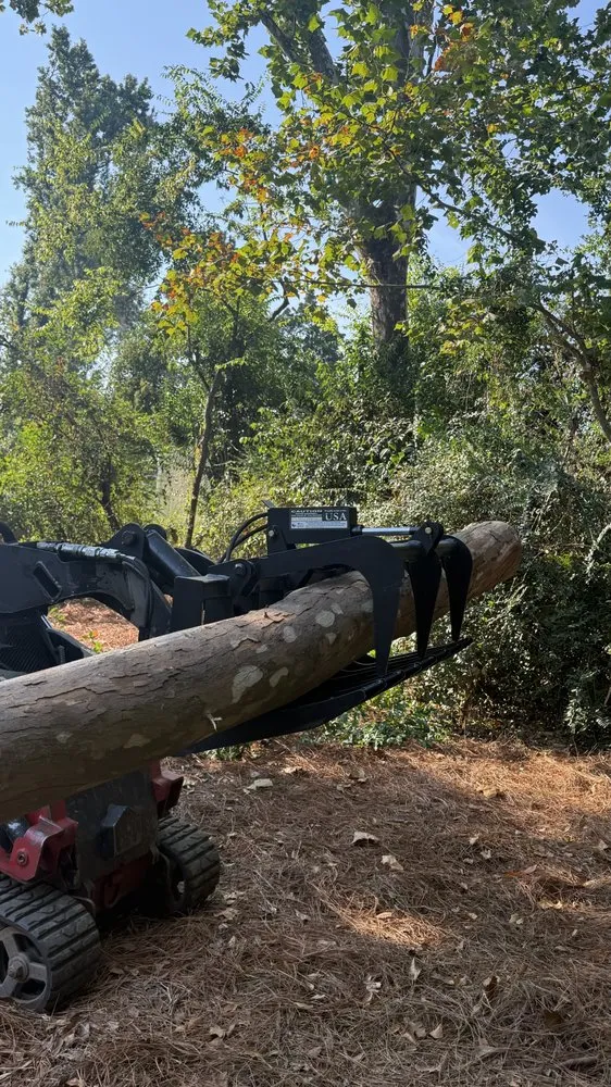 Reliable landscape design in Grovetown, GA - The Binzha Landscape