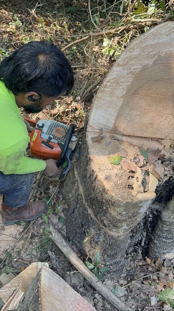 Trusted lawn mowing service with custom design in Grovetown, GA by The Binzha Landscape