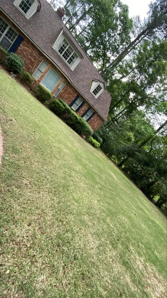 Affordable yard cleanup service in Grovetown, GA by The Binzha Landscape