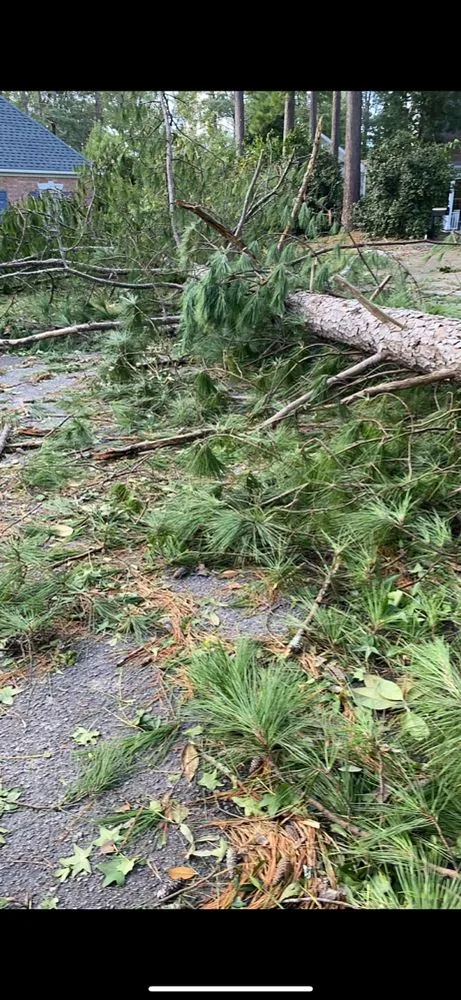 Professional residential landscaping experts serving Grovetown, GA - The Binzha Landscape