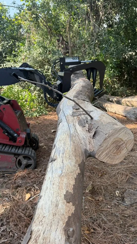 Custom yard cleanup service in Grovetown, GA - The Binzha Landscape