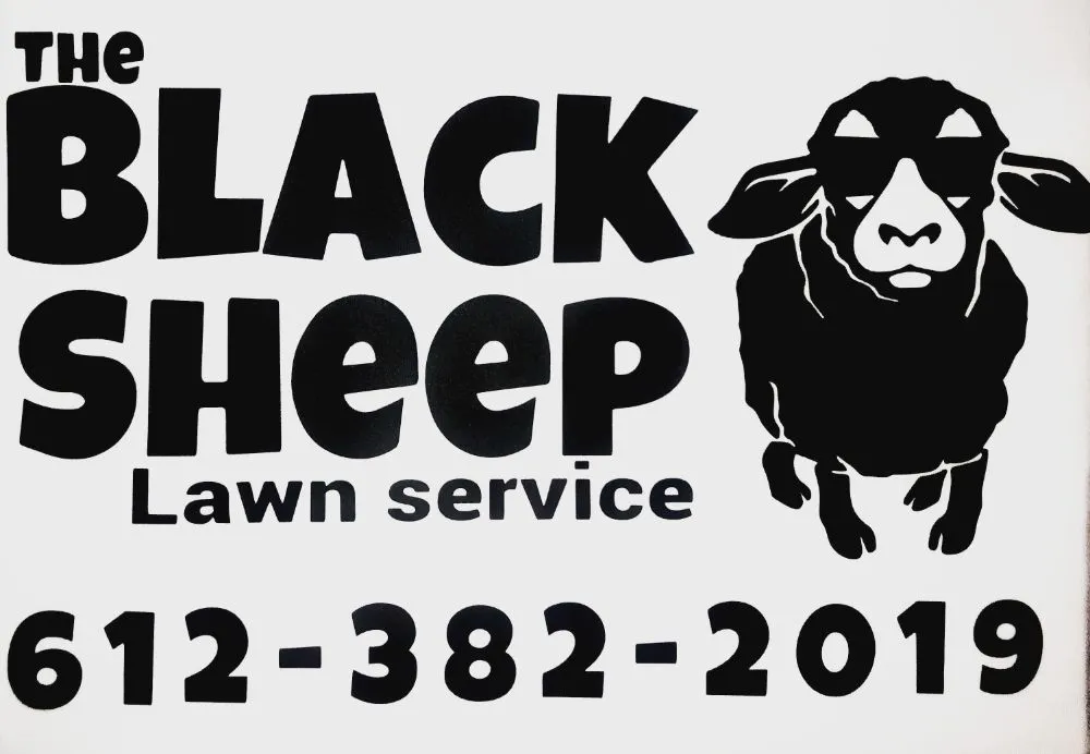 Custom lawn mowing service experts serving St. Cloud, FL - The Black Sheep Lawn Service