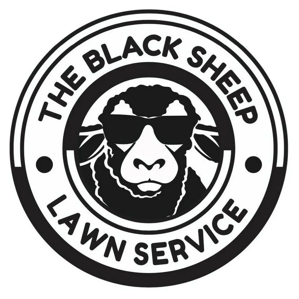 Affordable landscape design experts serving St. Cloud, FL - The Black Sheep Lawn Service