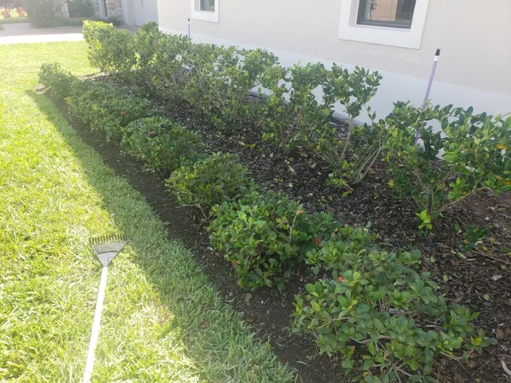 Affordable lawn mowing service for homes across St. Cloud, FL - The Black Sheep Lawn Service