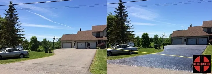 Professional yard cleanup service for outdoor upgrades across Rochester, NY - The Blacktop Doc