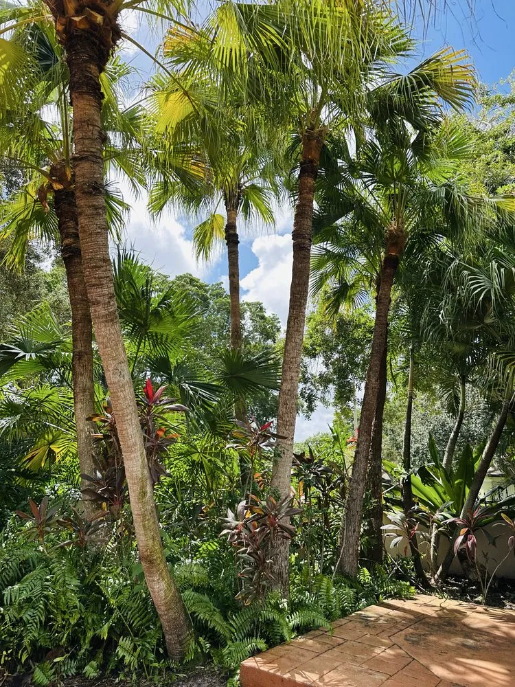 Expert lawn mowing service in Lake Worth, FL by The Bless Landscaping