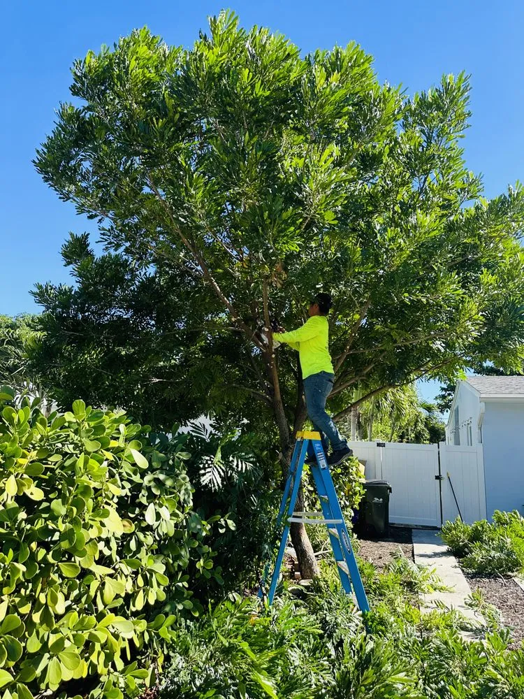 Custom landscaping services for beautiful yards across Lake Worth, FL - The Bless Landscaping