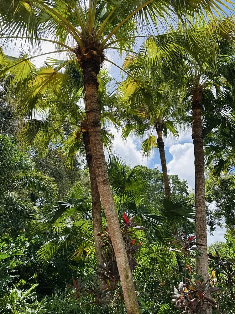 Trusted garden landscaping for beautiful yards in Lake Worth, FL by The Bless Landscaping