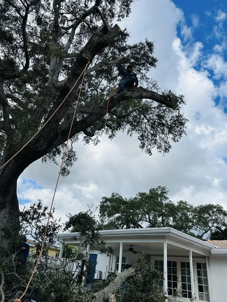 Trusted residential landscaping for year-round maintenance across Lake Worth, FL - The Bless Landscaping