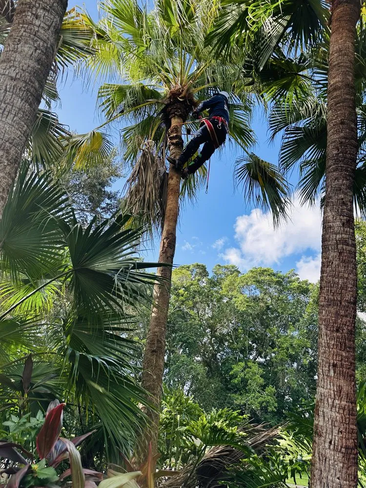 Custom yard maintenance for residential properties in Lake Worth, FL by The Bless Landscaping