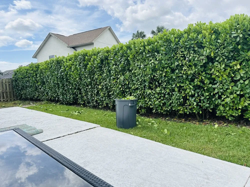 Affordable residential landscaping experts serving Lake Worth, FL - The Bless Landscaping