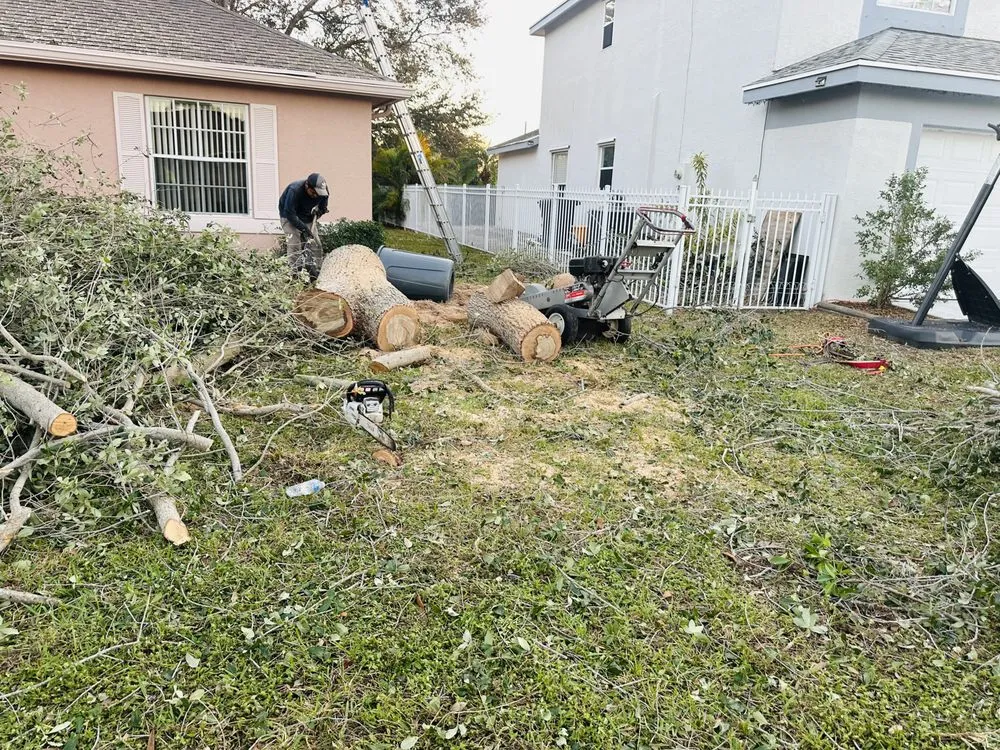Custom lawn care service in Lake Worth, FL - The Bless Landscaping