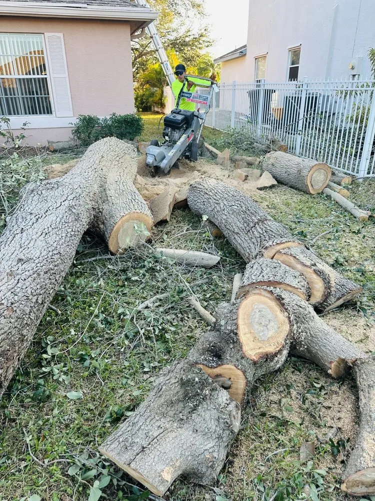 Local outdoor landscaping in Lake Worth, FL by The Bless Landscaping