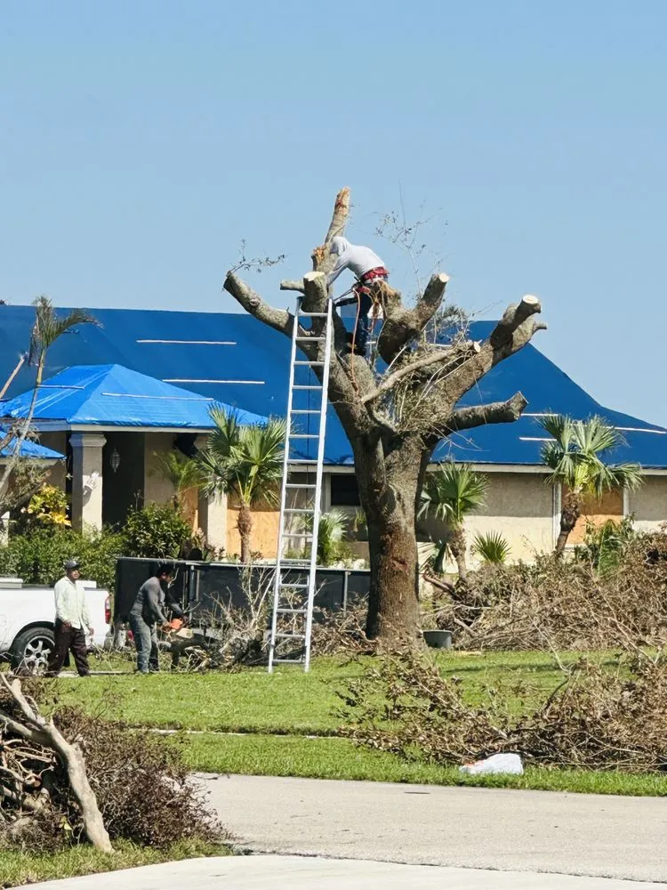Professional lawn care service for year-round maintenance across Lake Worth, FL - The Bless Landscaping
