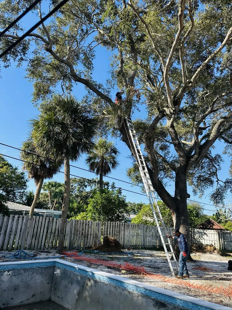 Professional landscape installation for residential properties in Lake Worth, FL by The Bless Landscaping