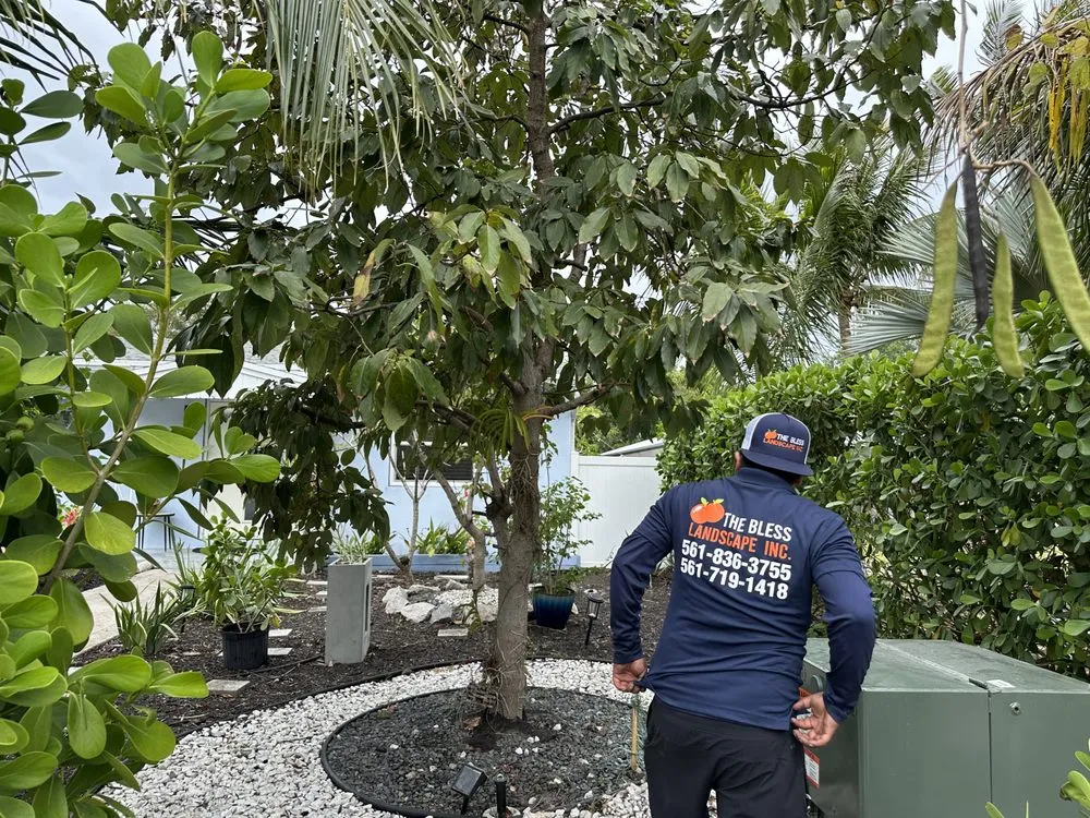 Local landscape installation in Lake Worth, FL - The Bless Landscaping