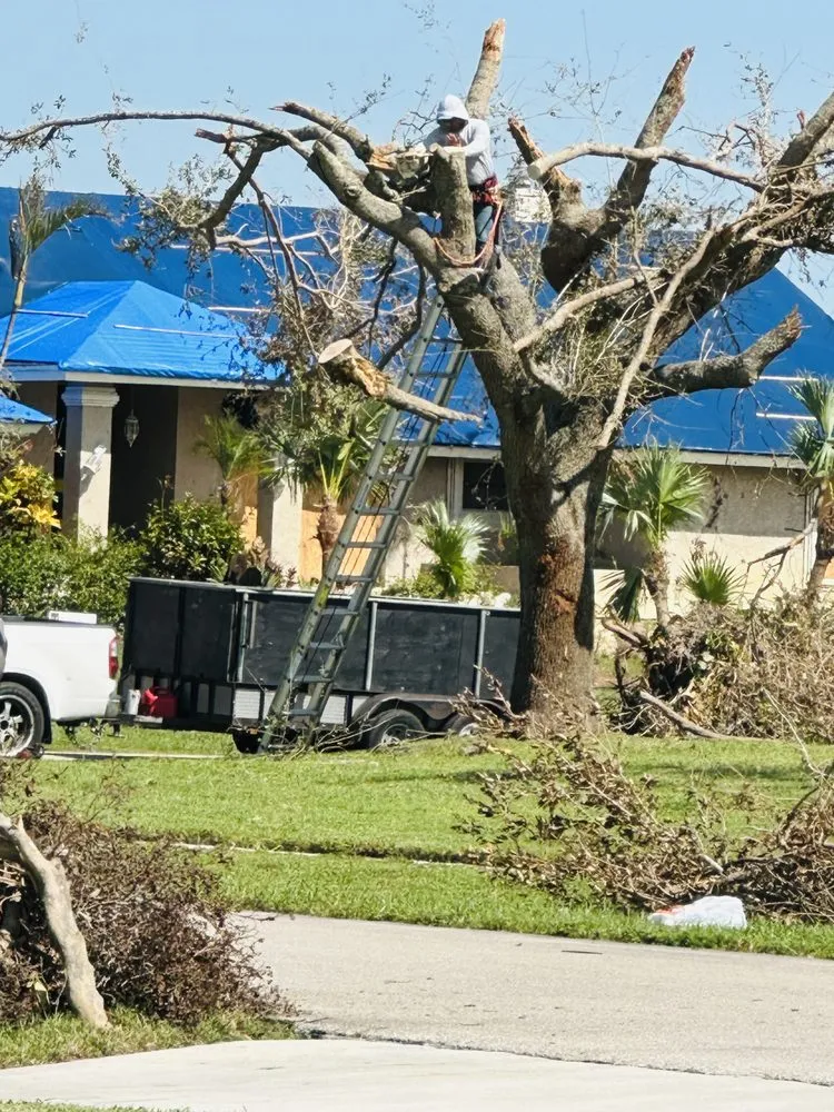 Local landscaping services for residential properties across Lake Worth, FL - The Bless Landscaping