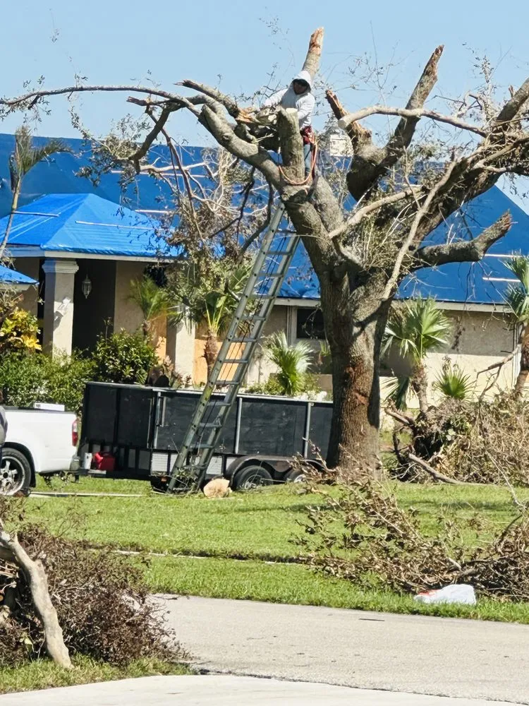 Affordable yard cleanup service experts serving Lake Worth, FL - The Bless Landscaping