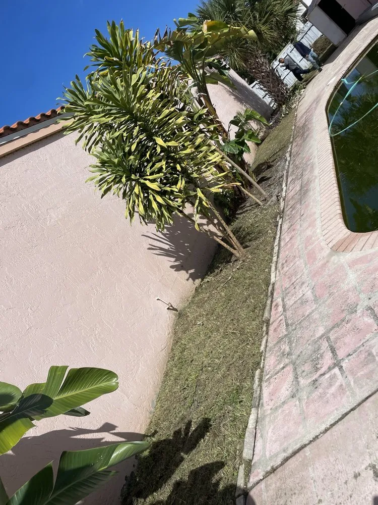 Local landscape design in Lake Worth, FL by The Blessing Landscaping