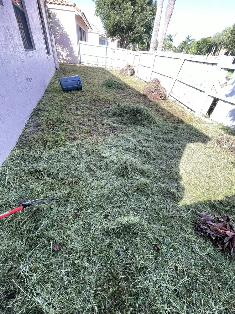 Trusted yard maintenance near you across Lake Worth, FL - The Blessing Landscaping