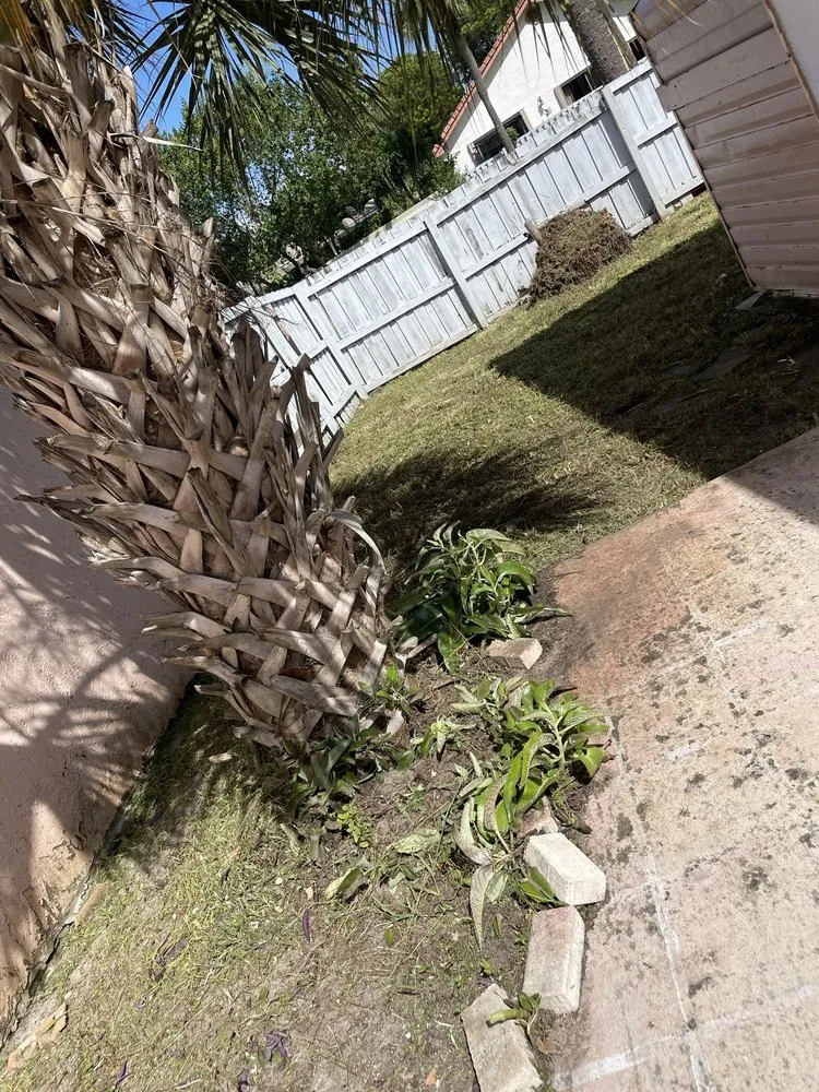 Trusted lawn care service in Lake Worth, FL - The Blessing Landscaping