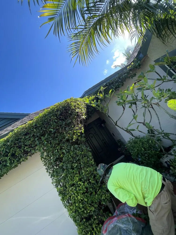 Reliable landscape installation experts serving Lake Worth, FL - The Blessing Landscaping