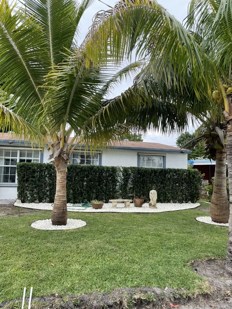 Professional lawn mowing service near you across Lake Worth, FL - The Blessing Landscaping