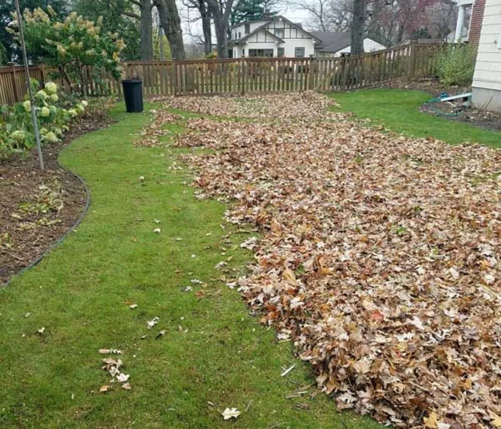 Affordable lawn care service in St. Simons Island, GA - The Blooming Yard