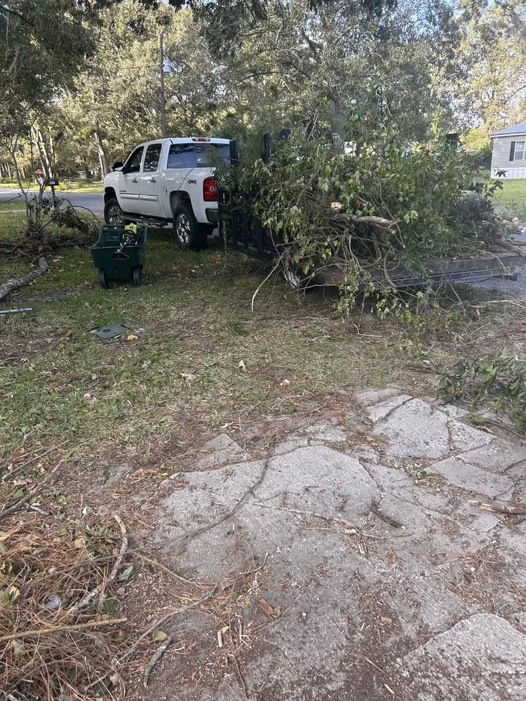 Professional outdoor landscaping for homes in St. Simons Island, GA by The Blooming Yard