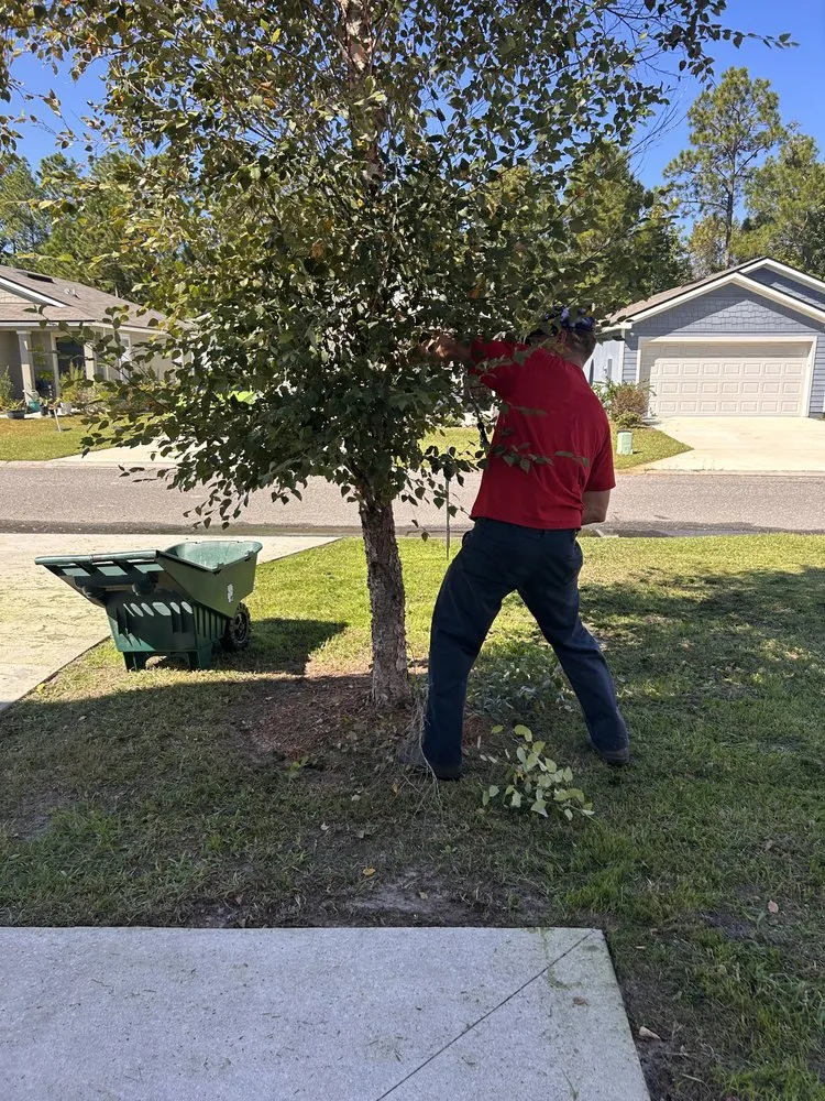 Professional lawn care service near you across St. Simons Island, GA - The Blooming Yard