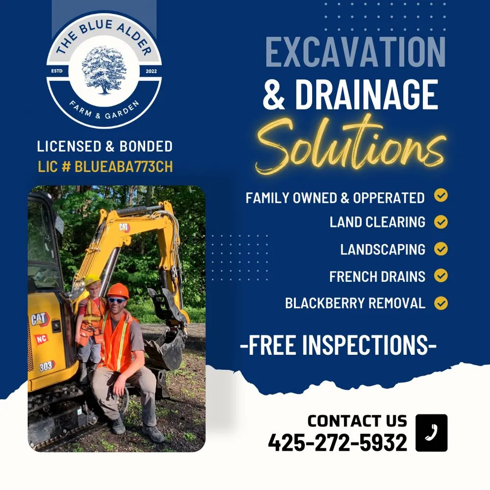Affordable residential landscaping in Maple Valley, WA - The Blue Alder