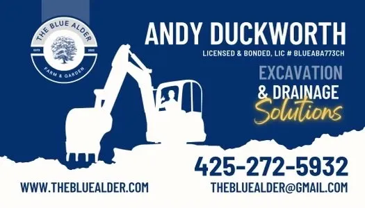 Reliable outdoor landscaping in Maple Valley, WA - The Blue Alder